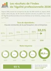 Déclarations aux indicateurs de l'index égalité professionnelle et de la loi Rixain pour 2026