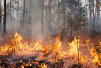L'activité partielle pour les entreprises impactées par les incendies en cours en Gironde