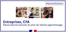 Plan de relance apprentissage : Entreprises, CFA, découvrez les mesures du plan #1jeune1solution