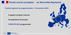 FSE+ en Nouvelle-Aquitaine : Une année 2024 riche en programmation ! 