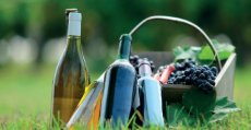 Cartes des vins en restauration : quelles sont les obligations des professionnels ?