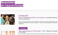 Newsletter n°8