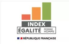 L'index égalité professionnelle : une meilleure note avec plus de femmes dans l'entreprise ?