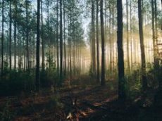 Lutte contre les incendies - Dispositifs d'accompagnement