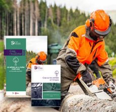 Les métiers de la filière forêt-bois en Nouvelle-Aquitaine