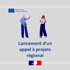 FSE + & Accompagnement des jeunes vers l'emploi et l'alternance